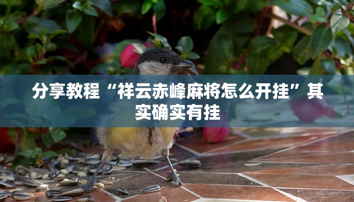 助赢神器“随便跑胡子其实可以开挂”开挂步骤方法