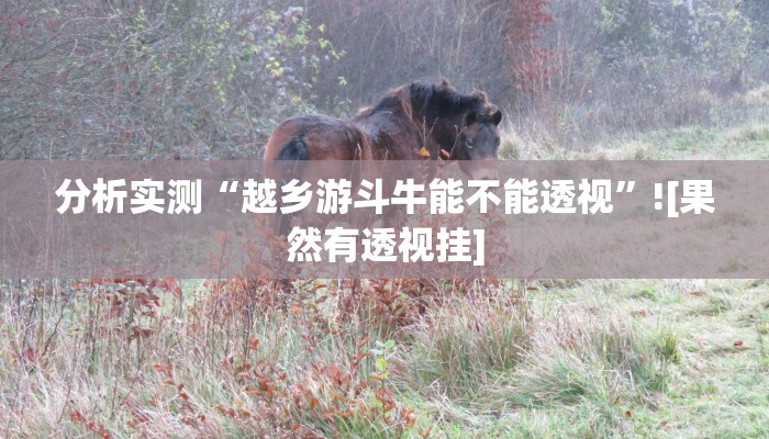 分享教程“钱塘十三水真的有挂吗”2025开挂教程步骤