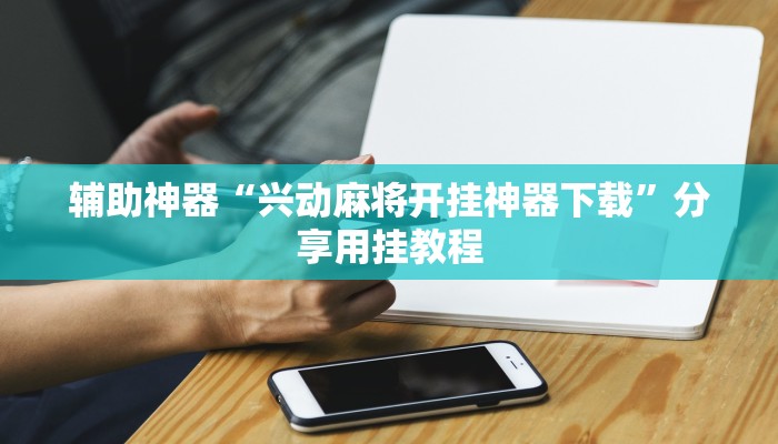 辅助神器“闲逸到底有没有挂”通用版下载教程