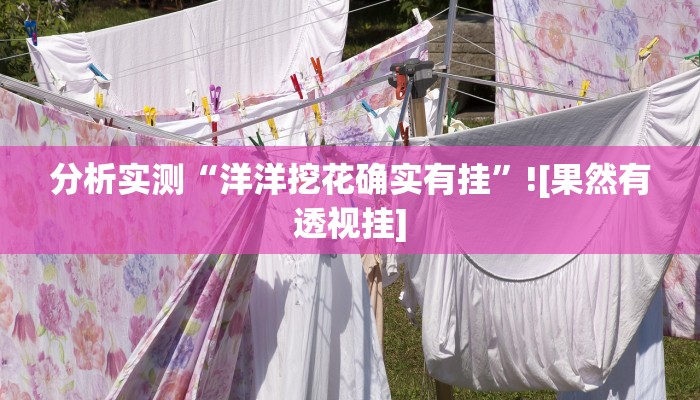 分析实测“洋洋挖花确实有挂”![果然有透视挂]