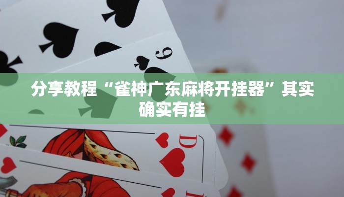 分享教程“WePoKer开挂辅助助手”2025开挂教程步骤
