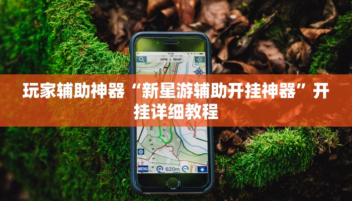 辅助神器“闲来贵州麻将开挂神器”开挂(透视)辅助教程