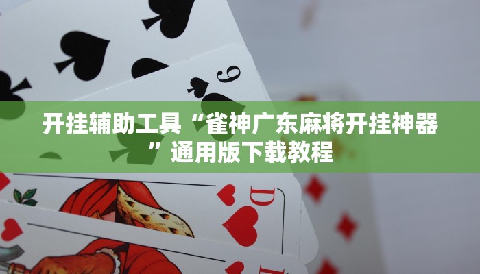 分享教程“hhpoker透视挂”开挂详细教程