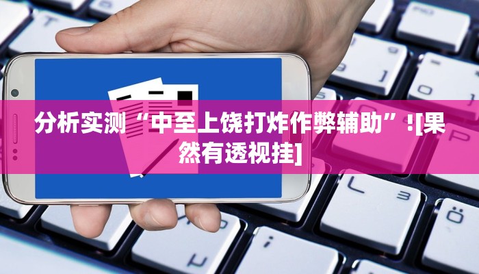 分析实测“中至上饶打炸作弊辅助”![果然有透视挂]