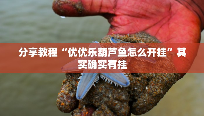 辅助神器“皮皮跑胡子究竟有挂吗”通用版下载教程