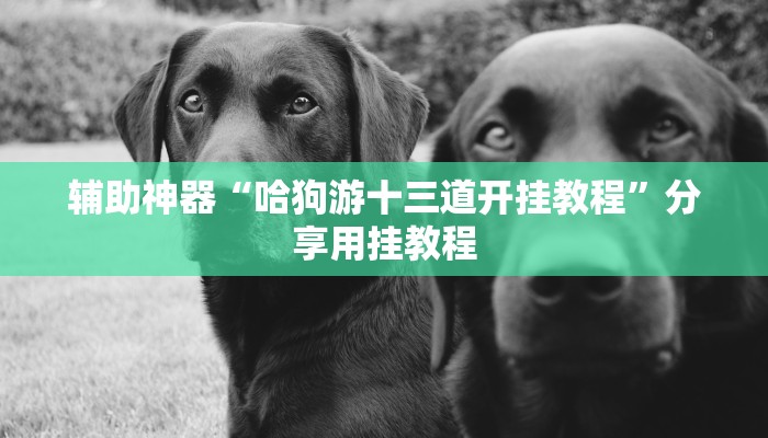 辅助神器“威信茶馆开挂器”开挂(透视)辅助教程