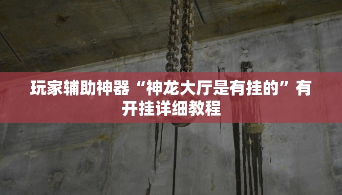 玩家辅助神器“神龙大厅是有挂的”有开挂详细教程