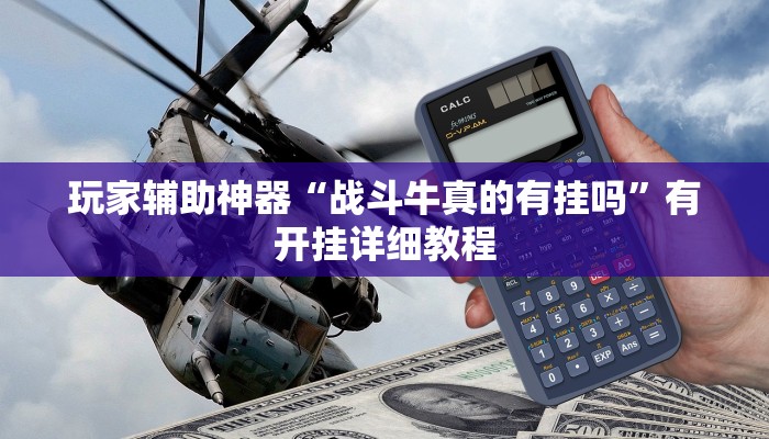 助赢神器“胖猪竞技如何装挂”开挂步骤方法