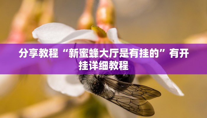分享教程“新蜜蜂大厅是有挂的”有开挂详细教程