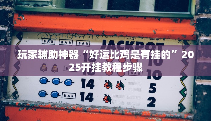 辅助神器“中至上饶打炸作弊视频”(透视)其实确实有挂