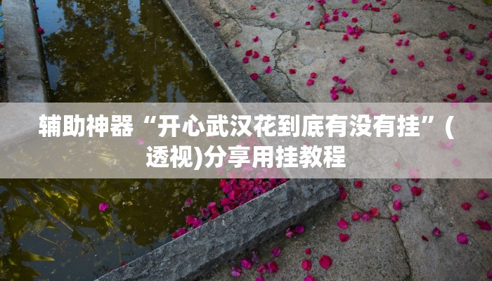 玩家辅助神器“wepoker私人局透视”有开挂详细教程 玩家辅助神器“wepoker私人局透视”有开挂详细教程