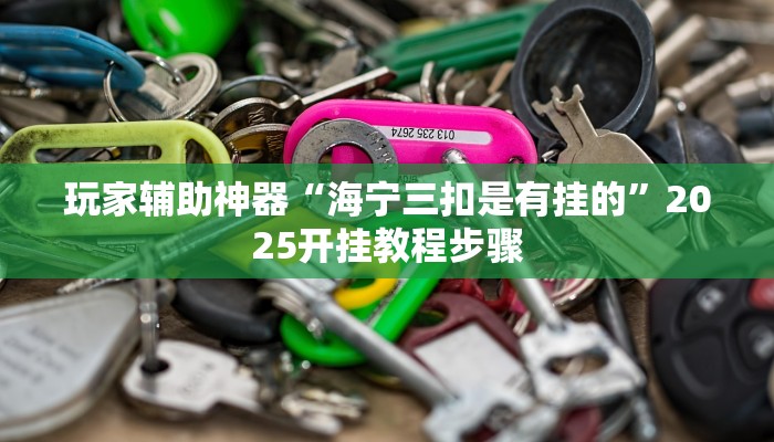 玩家辅助神器“海宁三扣是有挂的”2025开挂教程步骤