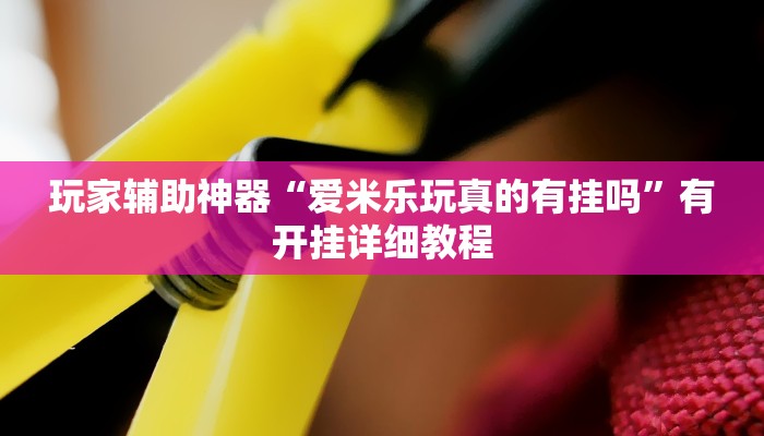 玩家辅助神器“爱米乐玩真的有挂吗”有开挂详细教程