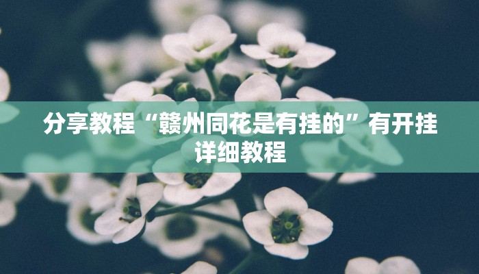 辅助神器“微乐捉老麻子开挂神器”(透视)其实确实有挂