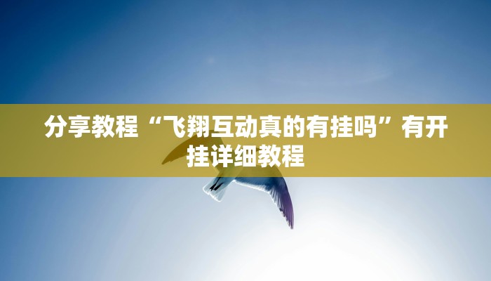 分析实测“哈局十三张其实可以开挂”![果然有透视挂]