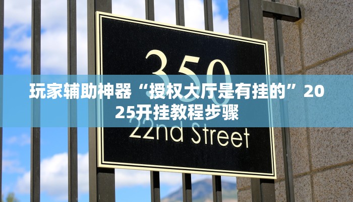 玩家辅助神器“授权大厅是有挂的”2025开挂教程步骤