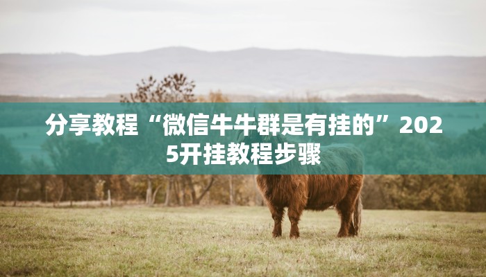 分享教程“微信牛牛群是有挂的”2025开挂教程步骤