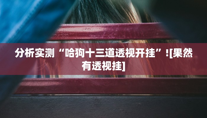 分析实测“哈狗十三道透视开挂”![果然有透视挂]