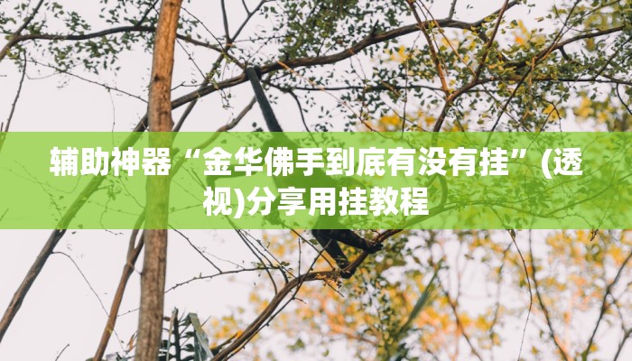 玩家辅助神器“开心十三张开挂方法”有开挂详细教程