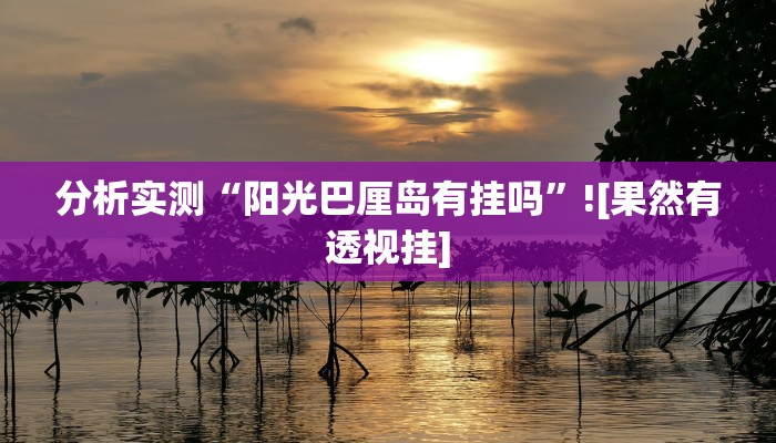 玩家辅助神器“新星游开挂透视辅助软件”有开挂详细教程