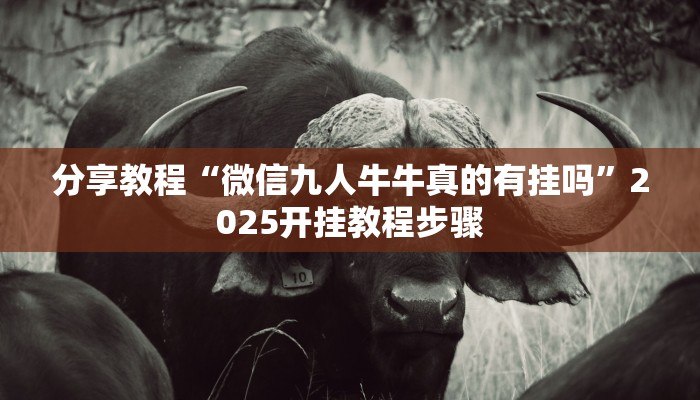 分享教程“乐乐上海麻将开挂神器”2025开挂教程步骤 分享教程“乐乐上海麻将开挂神器”2025开挂教程步骤