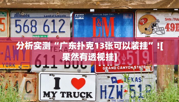 助赢神器“越乡游双扣可以开挂”开挂步骤方法 助赢神器“越乡游双扣可以开挂”开挂步骤方法