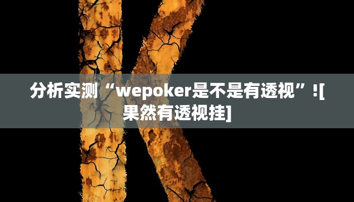 分析实测“wepoker是不是有透视”![果然有透视挂]