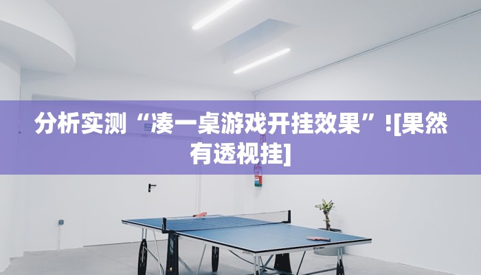 分析实测“凑一桌游戏开挂效果”![果然有透视挂]
