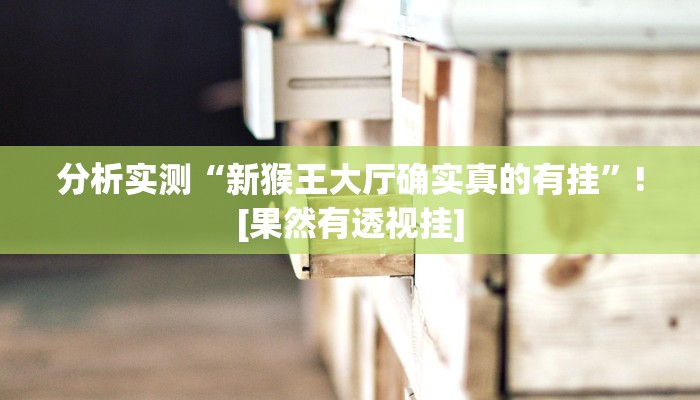 玩家辅助神器“摸一把跑得快开挂”2025开挂教程步骤