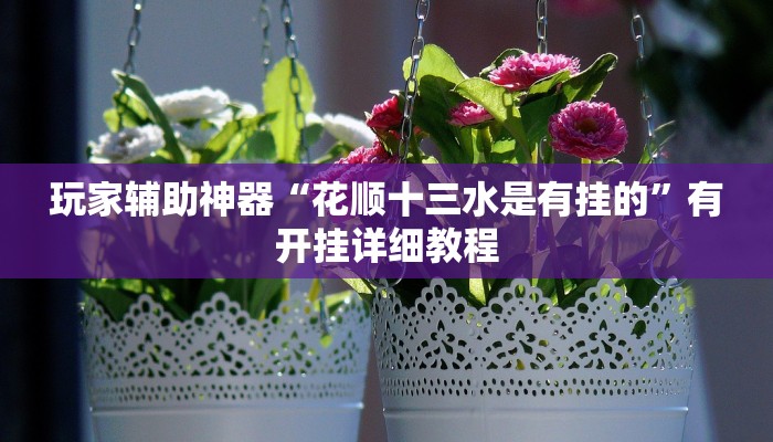 玩家辅助神器“花顺十三水是有挂的”有开挂详细教程