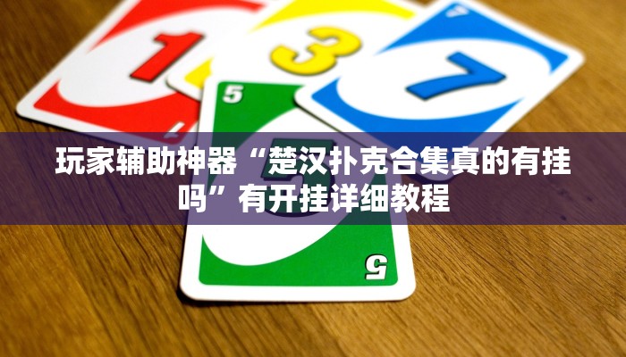 玩家辅助神器“楚汉扑克合集真的有挂吗”有开挂详细教程