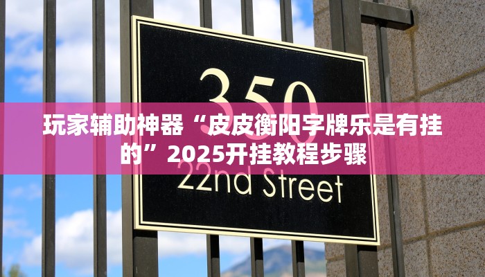 玩家辅助神器“皮皮衡阳字牌乐是有挂的”2025开挂教程步骤