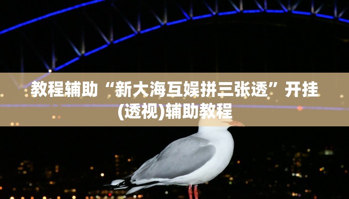 教程辅助“新大海互娱拼三张透”开挂(透视)辅助教程