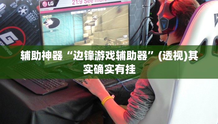 辅助神器“边锋游戏辅助器”(透视)其实确实有挂