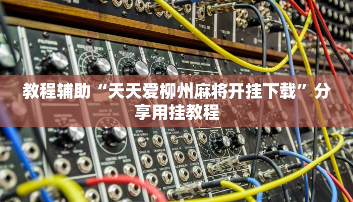 玩家辅助神器“乐乐大连麻将开挂神器”有开挂详细教程