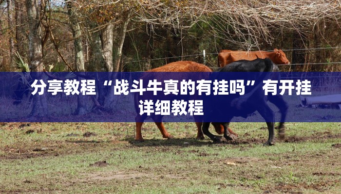 辅助神器“相约互娱辅助器最新版本更新内容是什么”开挂(透视)辅助教程