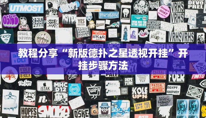 分享教程“哈局十三张辅助器下载”有开挂详细教程