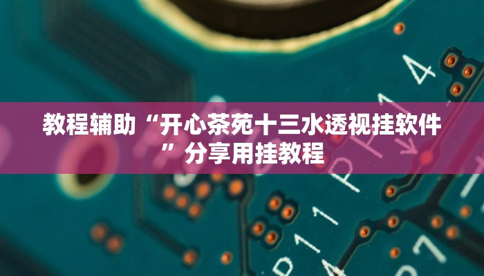 辅助神器“微乐踢坑透视挂下载”分享用挂教程