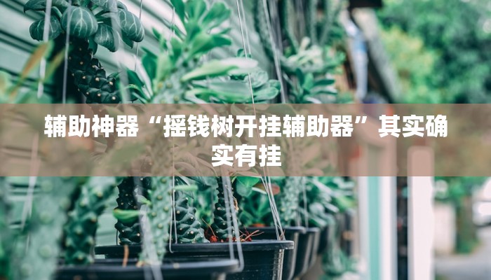 教程辅助“欢喜广西麻将十三张开挂”开挂(透视)辅助教程