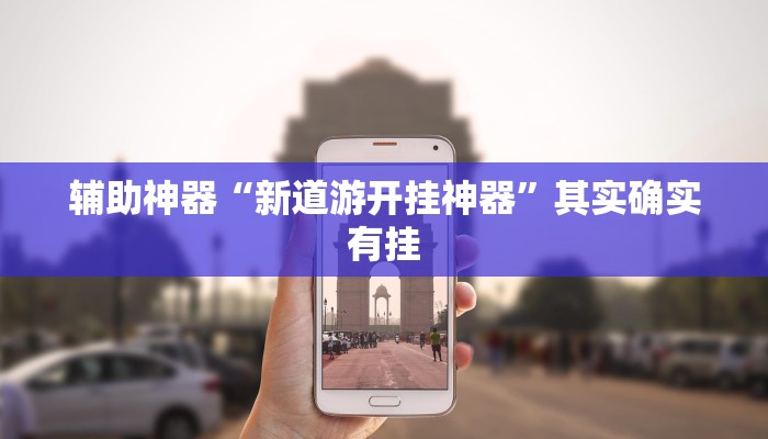 辅助神器“新道游开挂神器”其实确实有挂