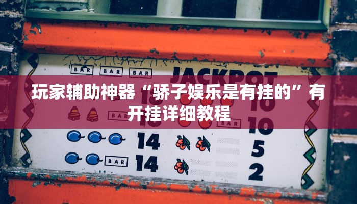 玩家辅助神器“骄子娱乐是有挂的”有开挂详细教程