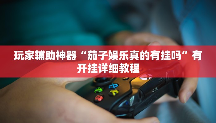 玩家辅助神器“茄子娱乐真的有挂吗”有开挂详细教程