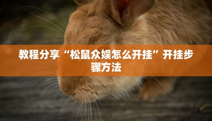 教程分享“松鼠众娱怎么开挂”开挂步骤方法