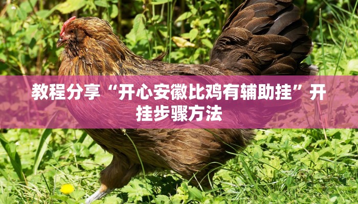 教程分享“开心安徽比鸡有辅助挂”开挂步骤方法