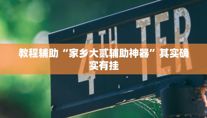 教程辅助“家乡大贰辅助神器”其实确实有挂