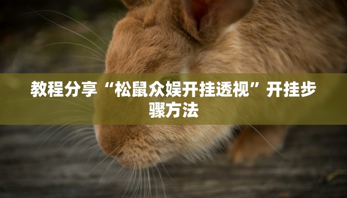 教程分享“松鼠众娱开挂透视”开挂步骤方法