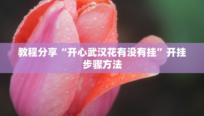 玩家辅助神器“大唐麻将外卦神器下载安装最新”有开挂详细教程