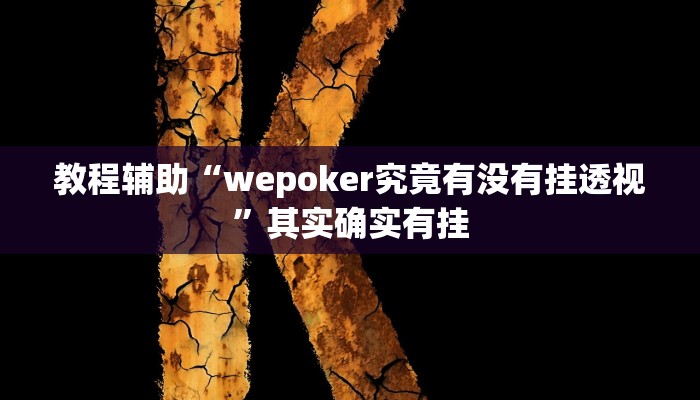 教程辅助“wepoker究竟有没有挂透视”其实确实有挂