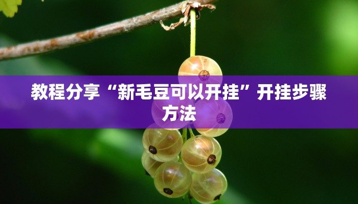 分享实测“新卡农大厅透视挂教程辅助”开挂辅助软件教程