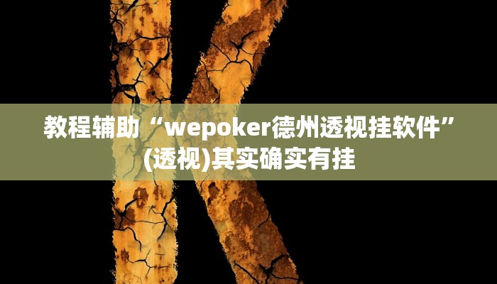 教程辅助“wepoker德州透视挂软件”(透视)其实确实有挂